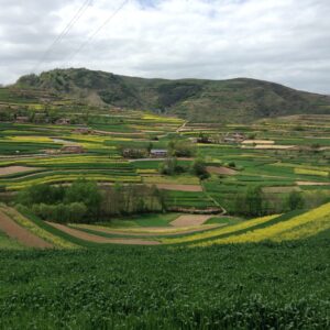 農村は都市に比べて選択肢が限られているが、だからこそ工夫が生まれ、制限された状況の中で、覚悟を決めて主体的に生き方を考える力が育まれるのではないか、と著者は語る。写真は甘粛麦村の棚田の景観。2015年5月（著者撮影）。